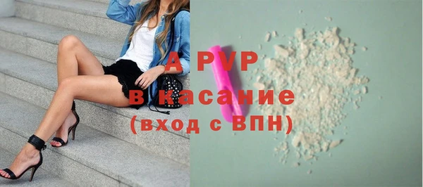 PSILOCYBIN Карпинск