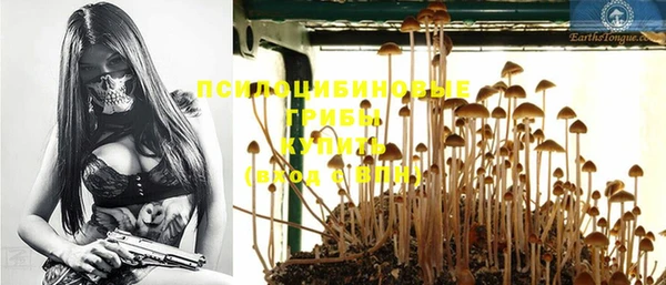 PSILOCYBIN Карпинск
