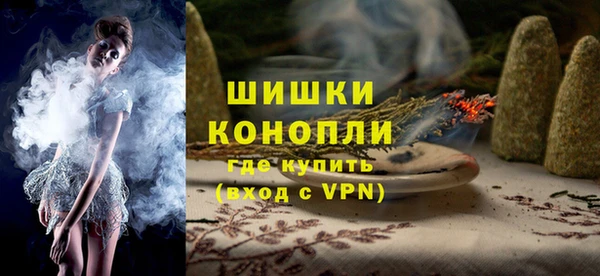 PSILOCYBIN Карпинск