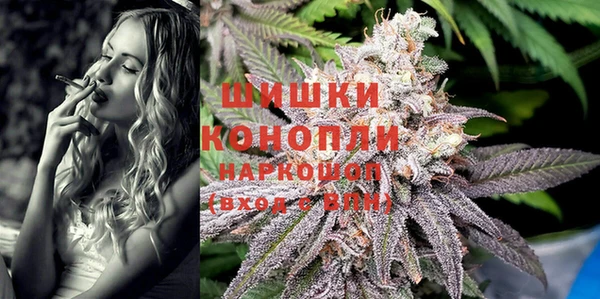 PSILOCYBIN Карпинск