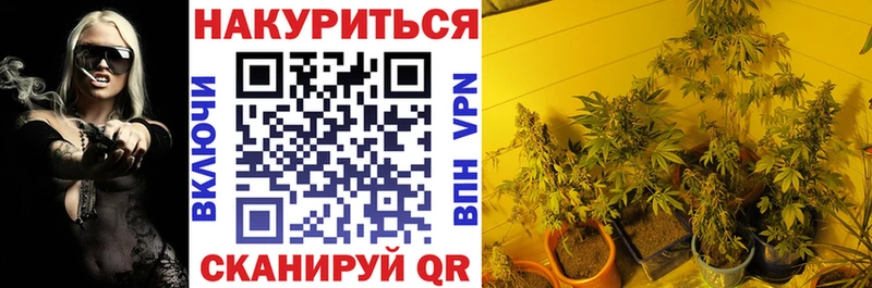 купить  цена  Первоуральск  Канабис сатива 